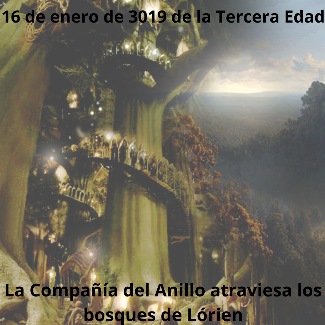 16 de Enero de 3019 de la Tercera Edad. Un día de sombras y maravillas: La Compañía atraviesa los bosques de Lórien