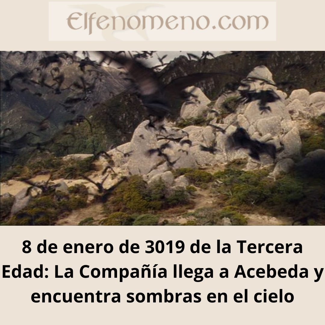 Crónicas de la Tierra Media: 8 de enero de 3019 de la Tercera Edad: La Compañía llega a Acebeda y encuentra sombras en el cielo