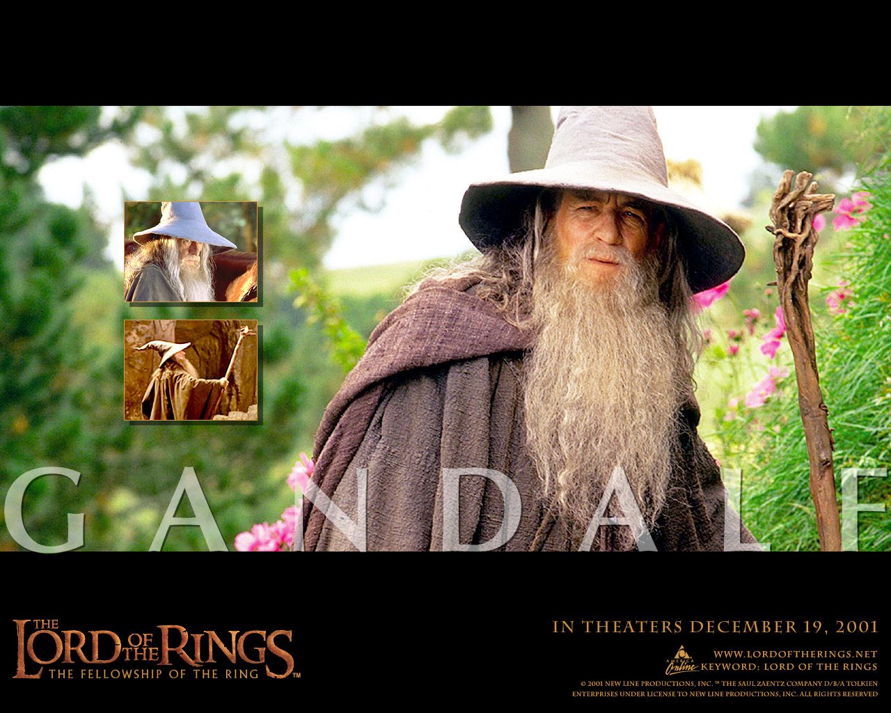 Tapiz Escritorio: Gandalf