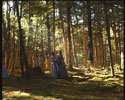 <a href='https://www.elfenomeno.com/info/ver/19157/titulo/Elfos'></a>Elfos</a> correteando por los bosques de Lorien.