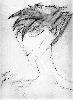 Yavanna: liliam