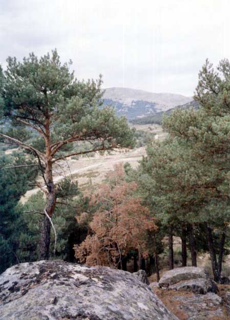 Era bonito el paisaje